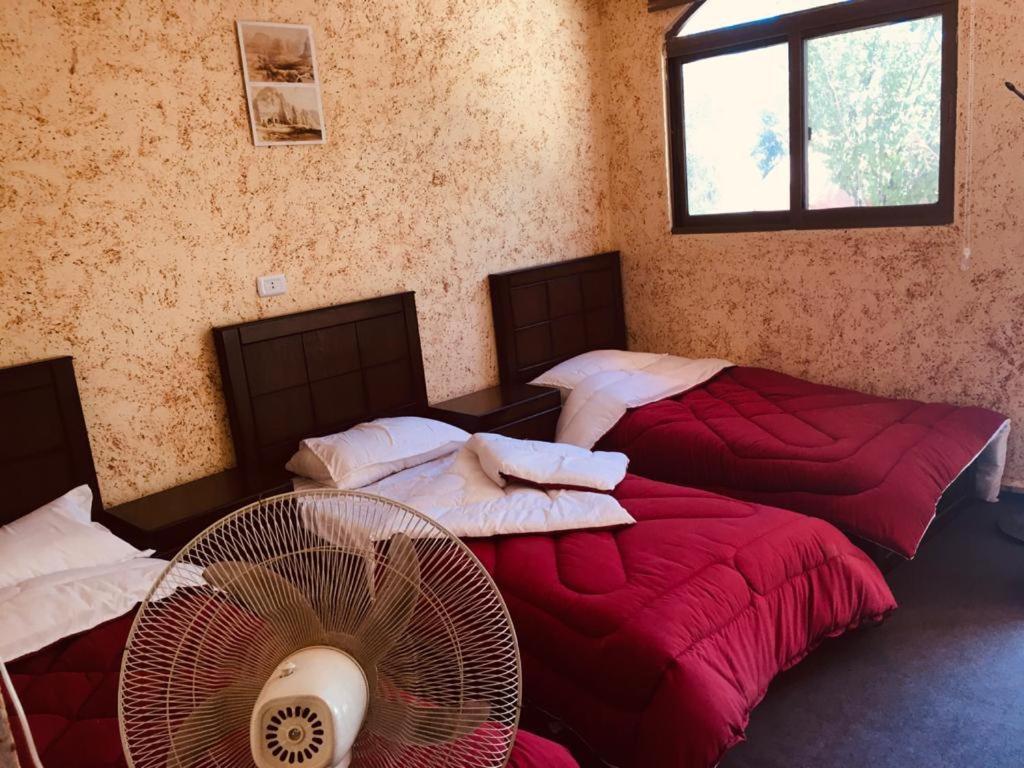 Guest House Attallah Wadi Musa Bagian luar foto