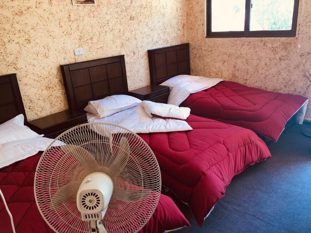 Guest House Attallah Wadi Musa Bagian luar foto